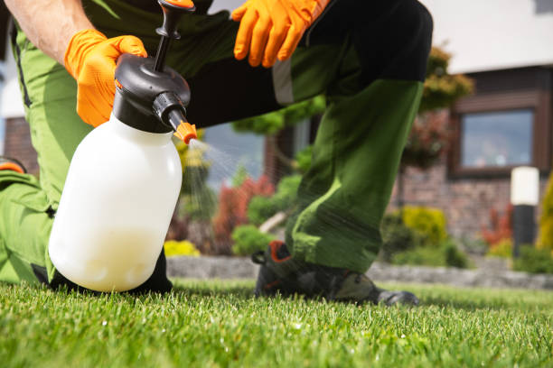 Best Ant Control Services  in Rancho Murieta, CA