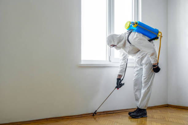 Best Pest Control Near Me  in Rancho Murieta, CA