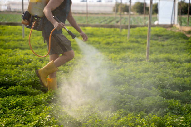 Pest Control Cost in Rancho Murieta, CA