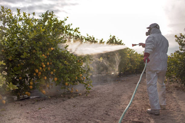 Best Emergency Pest Control  in Rancho Murieta, CA
