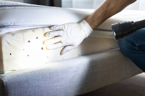 Best Pest Removal Services  in Rancho Murieta, CA