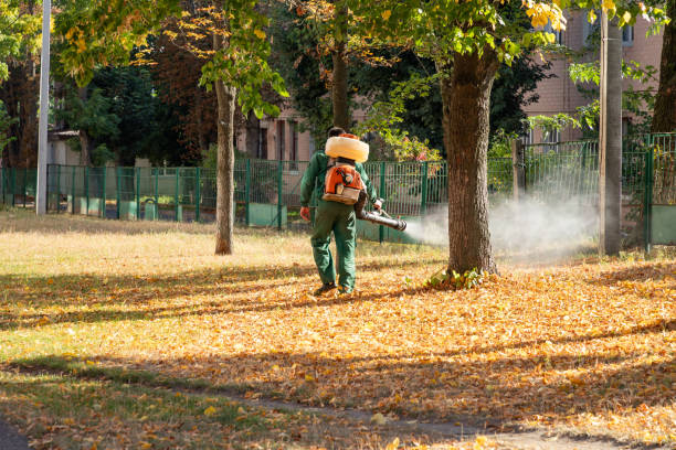 Best Flea Control Services  in Rancho Murieta, CA
