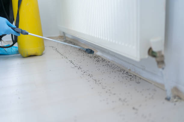 Best Local Pest Control Services  in Rancho Murieta, CA
