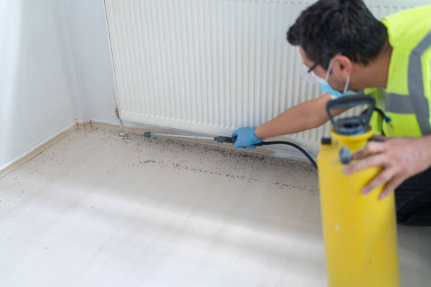Best Pest Control Treatment  in Rancho Murieta, CA